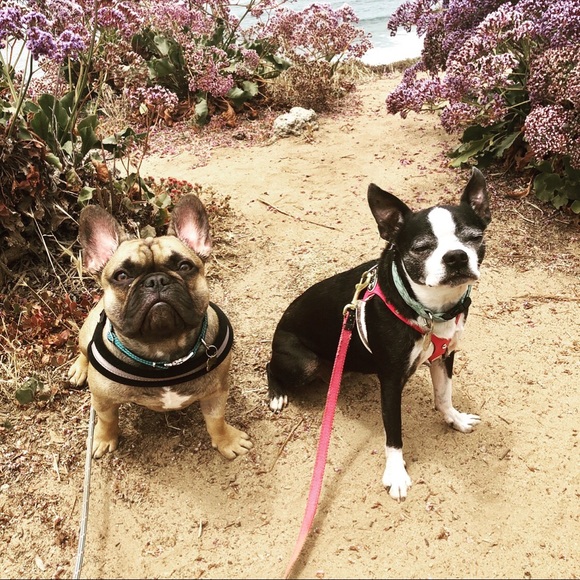 Meet your Posher, Katherine - Picture 3 of 10